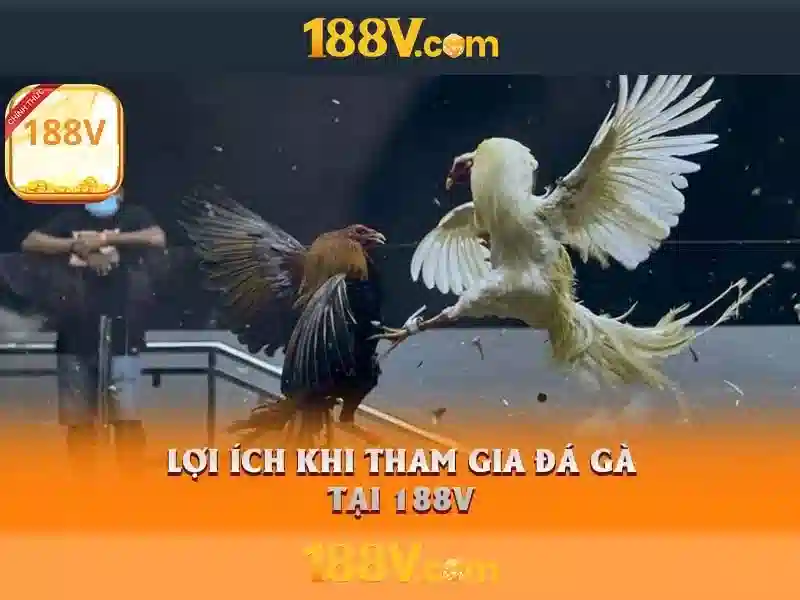 188V – Trang Chủ Chính Thức Không Bị Chặn 2026 | Đánh Giá 188v Có Lừa Đảo Không