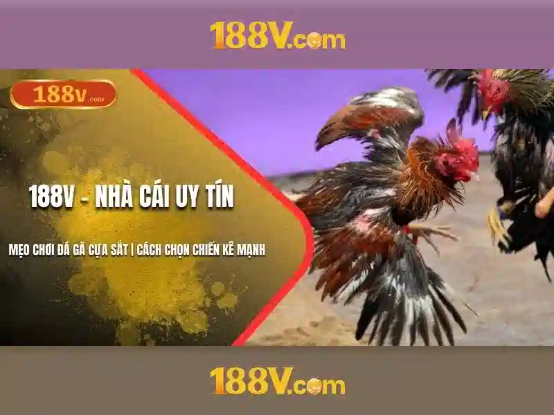 188v – Link Vào Trang Chủ 188v Chính Thức Không Bị Chặn 2026