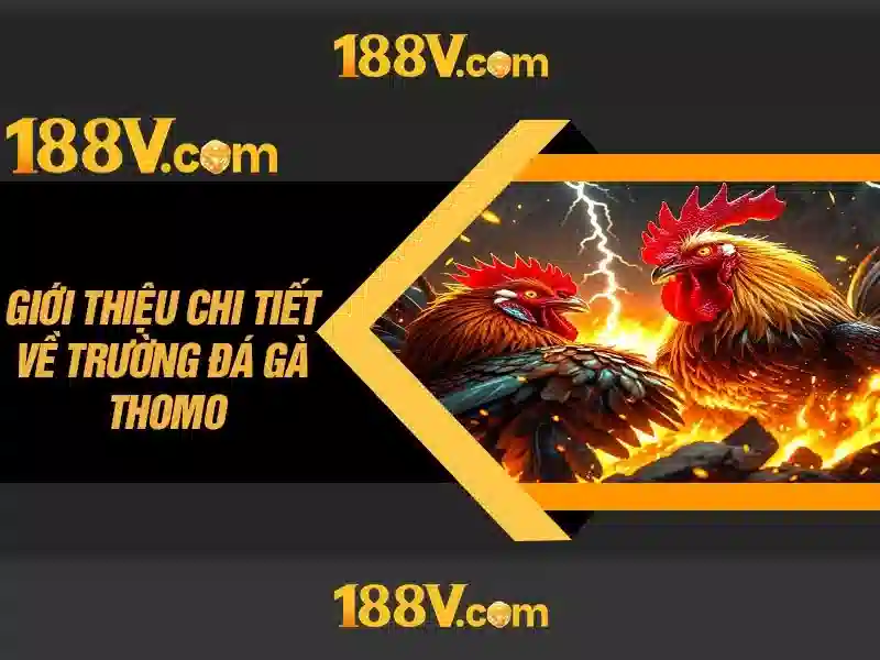 188V – Phiên Bản Mới 188V Chơi Slot Online Đỉnh Cao 2026